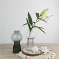 Home Decor Glass Vase Container hohe Blase gerippt